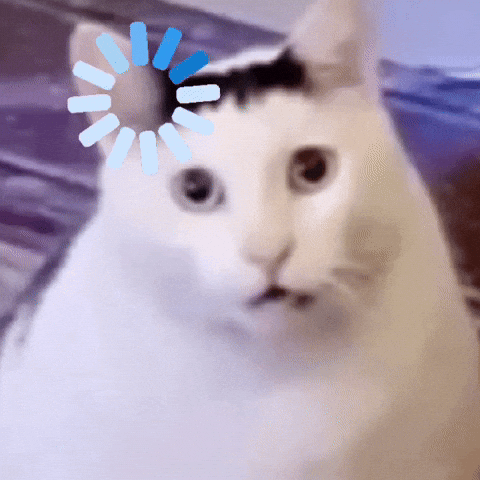 Cat with a loading spinner